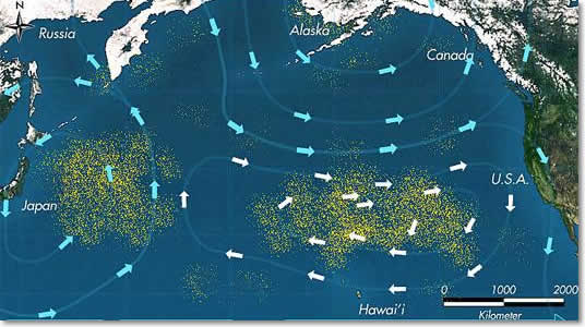 trash vortex in the ocean
